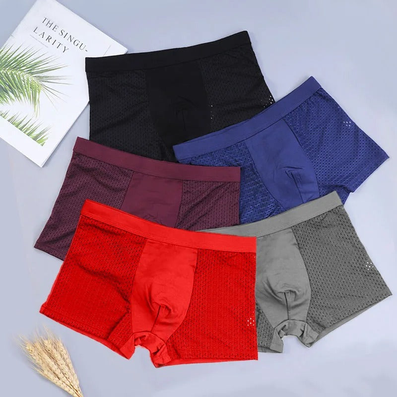 Privazz | Set of 10 Bamboo Fibre Boxers [Pay for 5, Get 10]